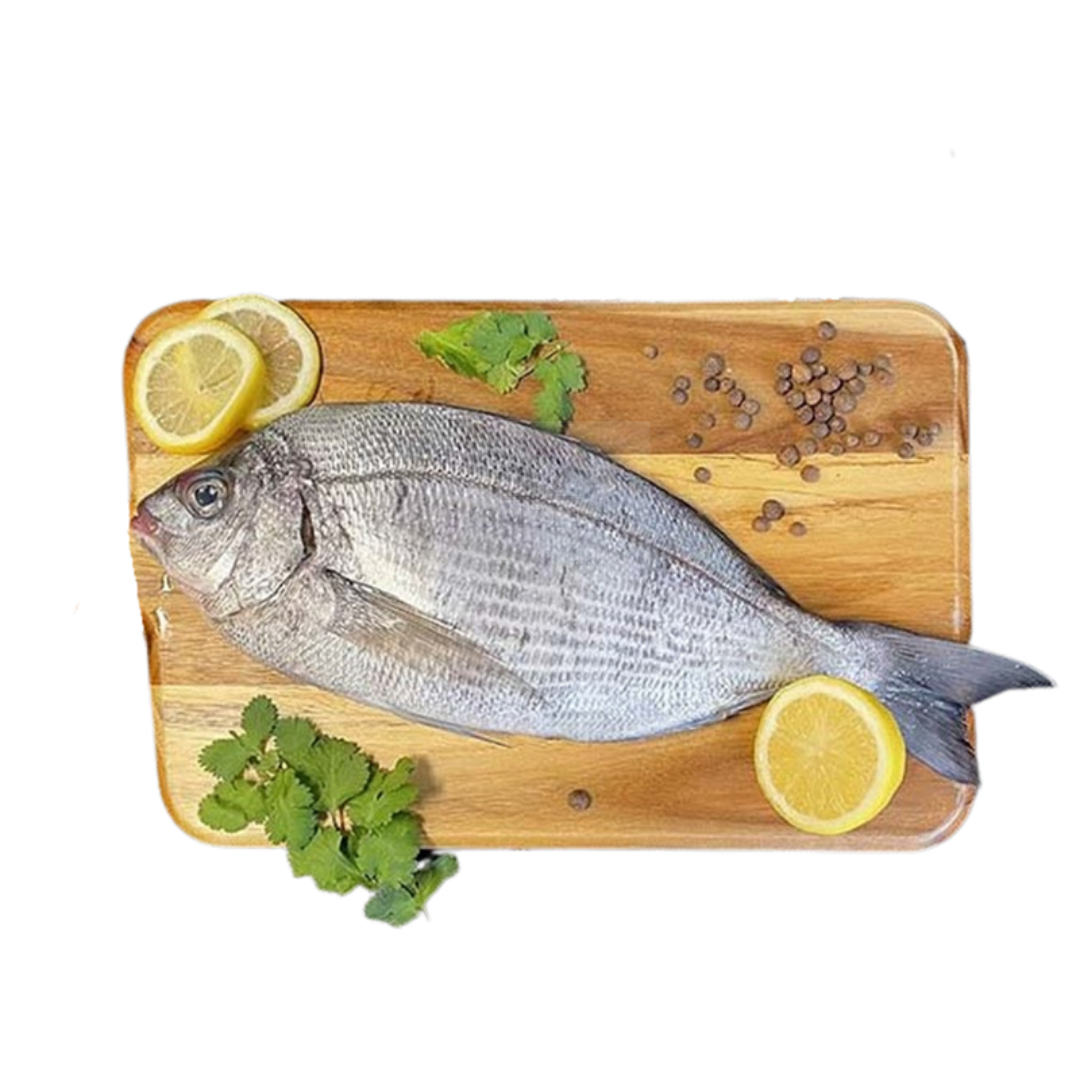 dorade-grise-piece-de-600g