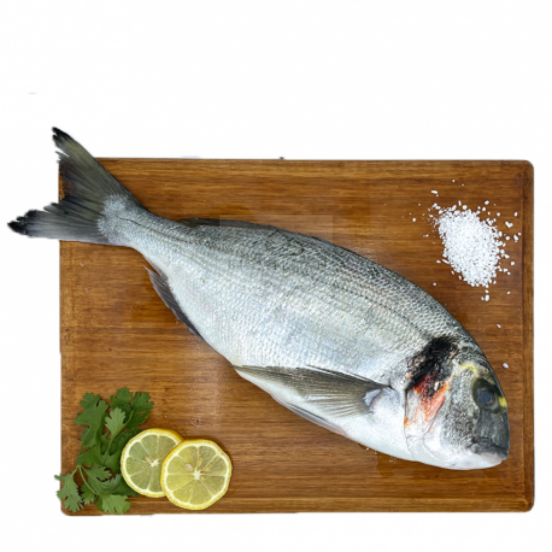 dorade-royale-lot-de-12kg